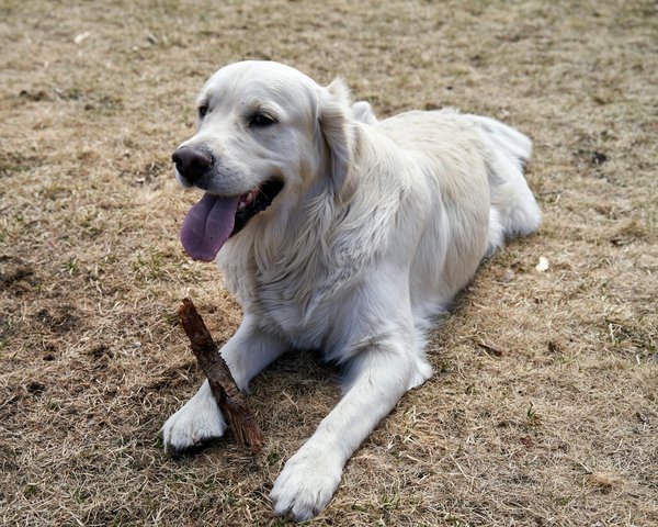 Transforming Urban Canals in the UK: Innovative Approaches to Boost Aquatic Wildlife Habitats